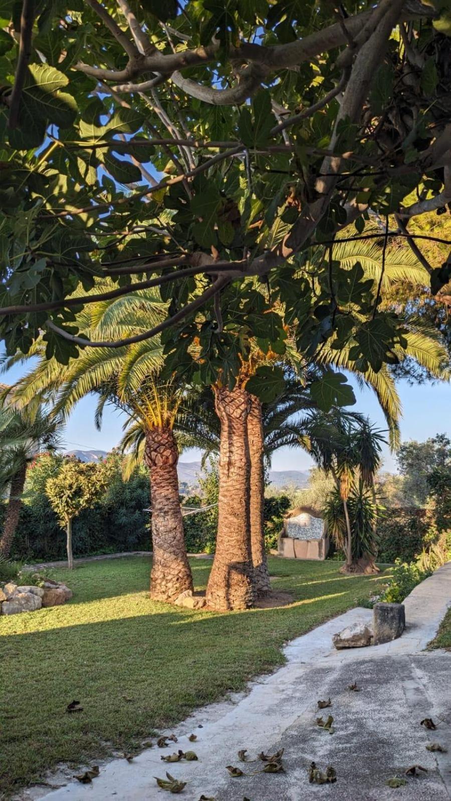 Ca Tosca Villa Jávea Exterior foto